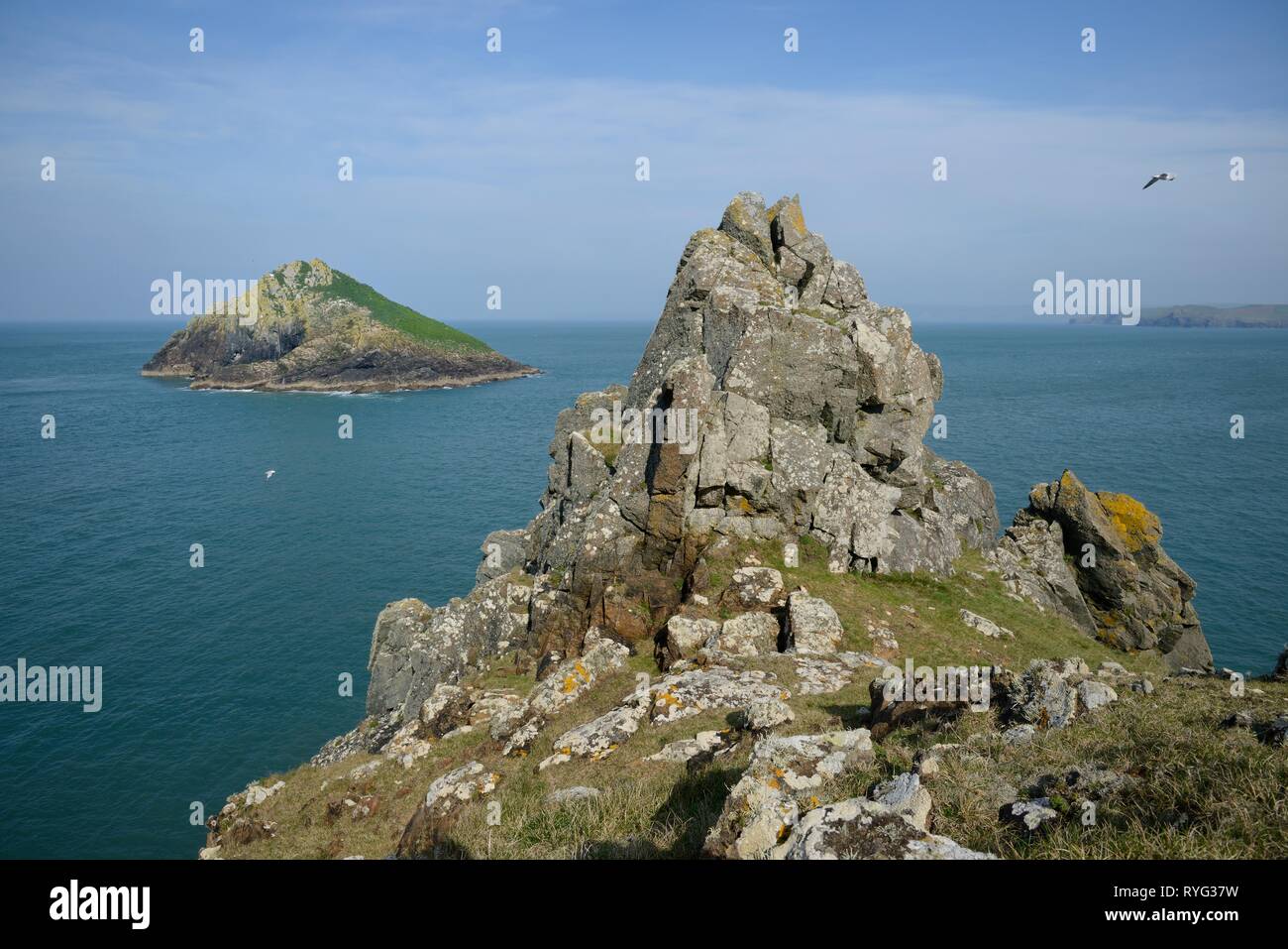 Vue de la Mouls, un petit îlot au large des côtes, vu de croupions Point, tête Pentire, près de Polzeath, Cornwall, UK, mars. Banque D'Images