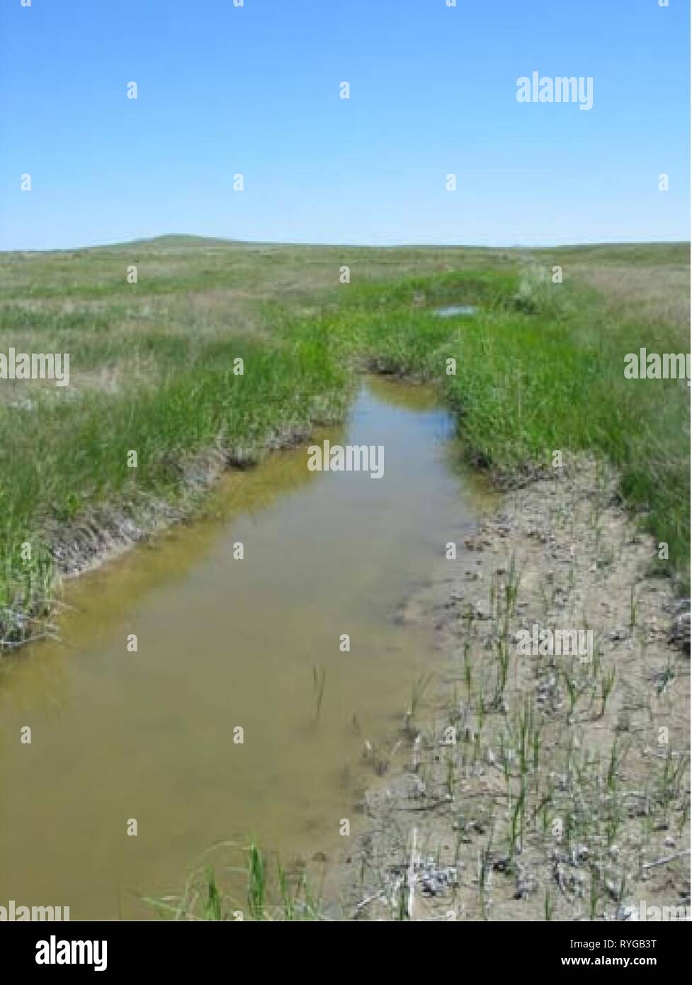 Enquêtes aquatiques et l'évaluation de la région de Slim Buttes Harding et Butte Co., SD E7B0A490-9C23-4F66-8B12-C76B17101B65 Année : 2006 Spur Creek (affluent de la fourche sud Moreau) Banque D'Images