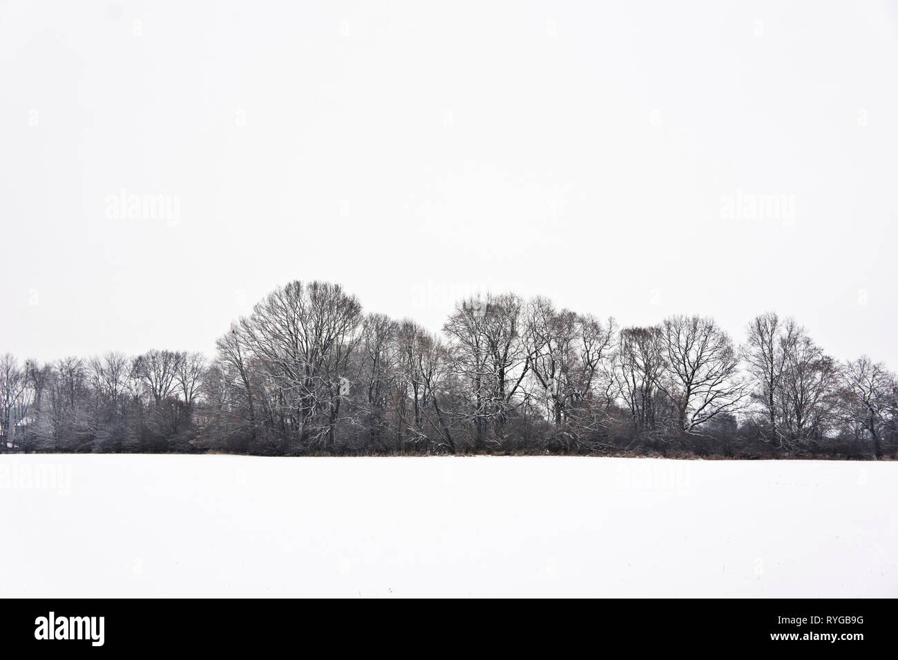 Toujours calme, paysage d'hiver, avec des arbres et de la neige Banque D'Images
