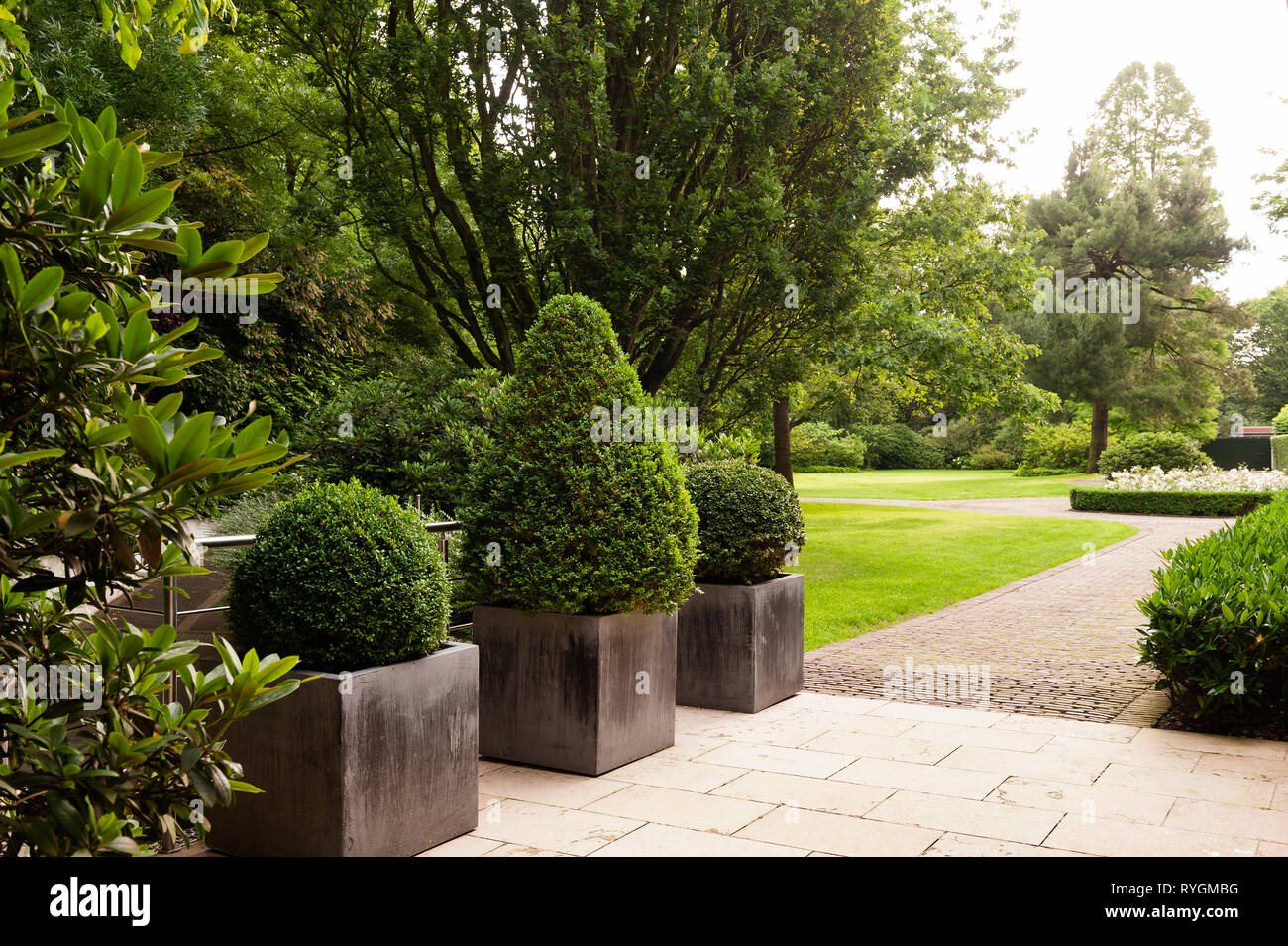 Plantes en pot sur sentier dans un parc Banque D'Images