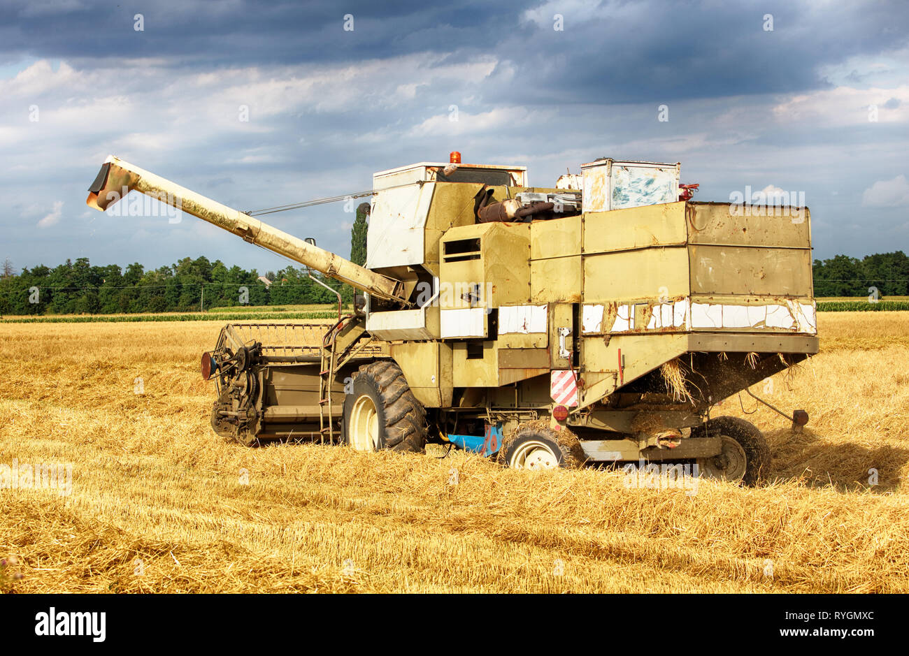 Combine harvester in Wheat field. Banque D'Images