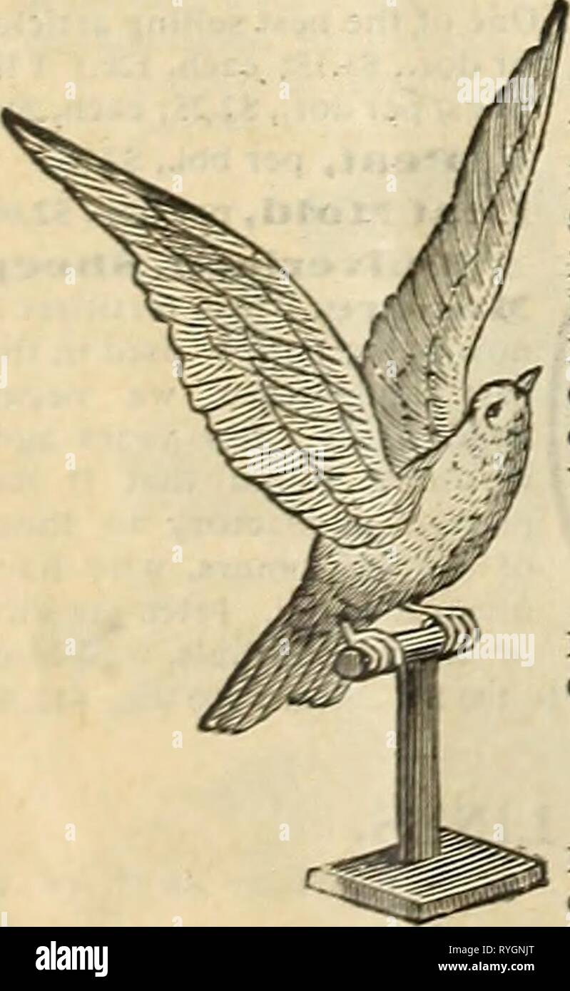 Letter E Flowers Photos Letter E Flowers Images Alamy