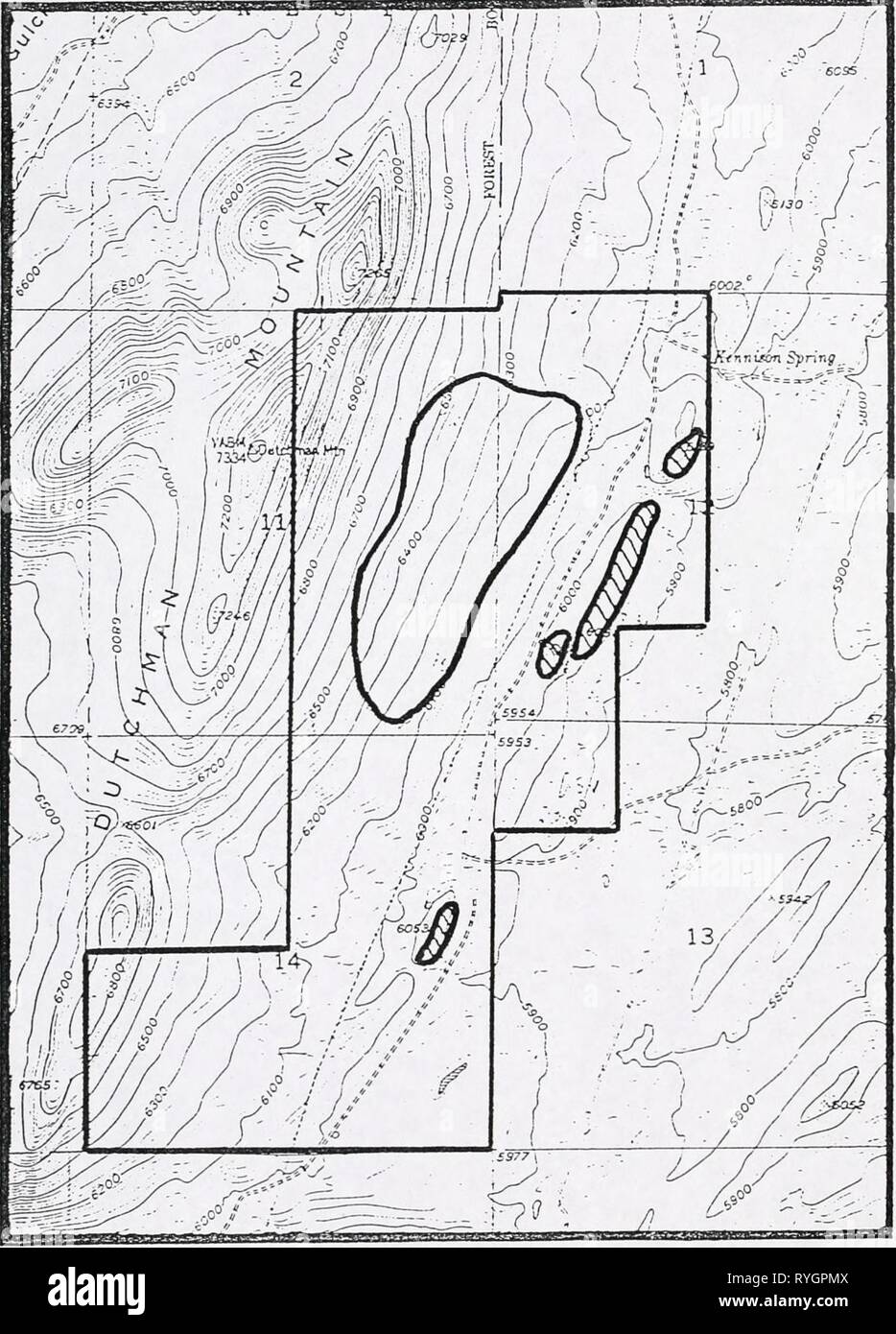 Pour les espèces végétales sensibles de l'Enquête sur la montagne Dutchman, Beaverhead Comté, dutchmansensiti vandrich00 Année : 1994 Eriogonum ovalifolium var. nevadense Argenta USGS Quad, 7.5' Banque D'Images