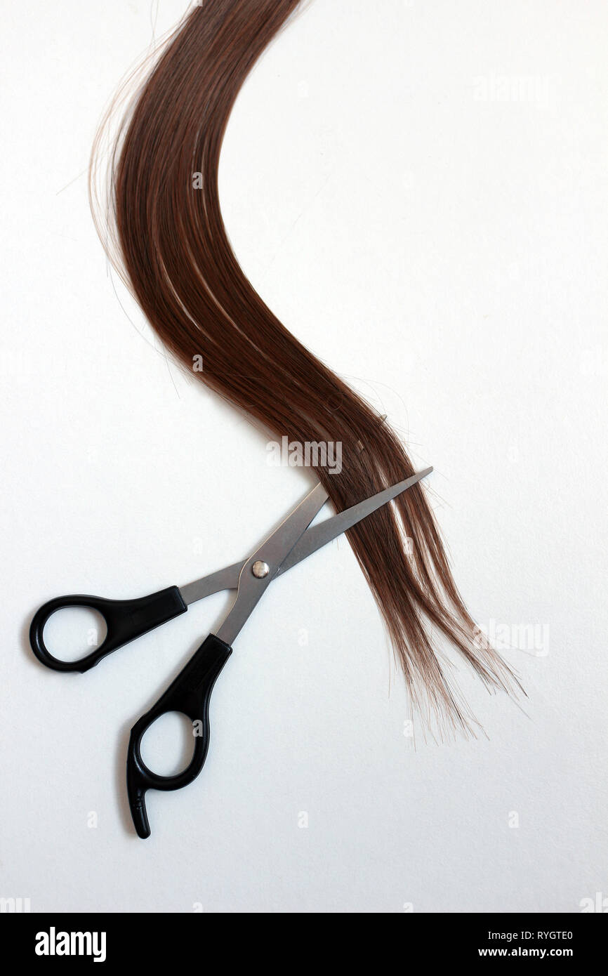 Coupe de cheveux brun Auburn ciseaux Banque D'Images