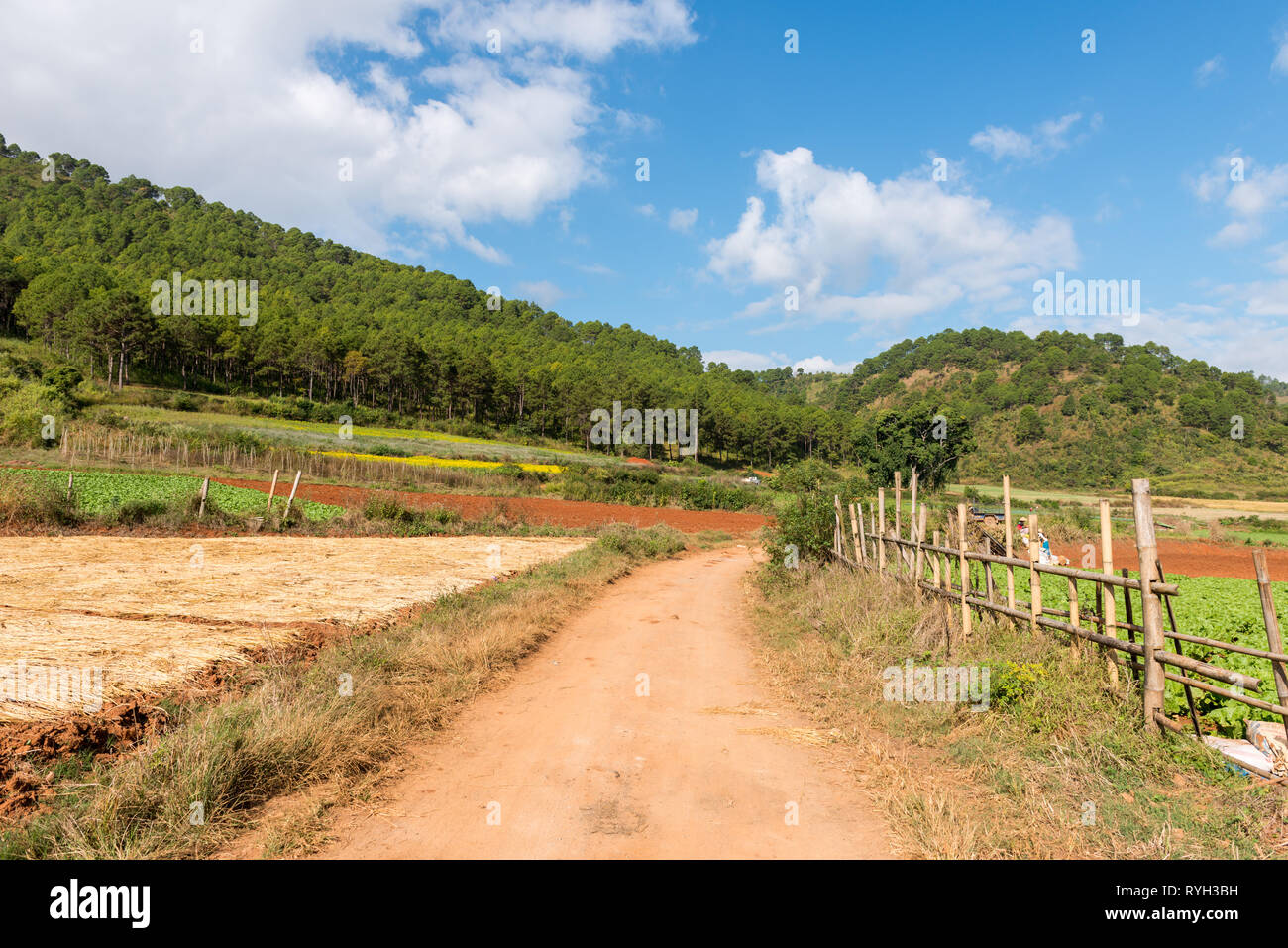 Photo grand angle d'une route dans une zone rurale entre Kalaw au Lac Inle situé au Myanmar Banque D'Images