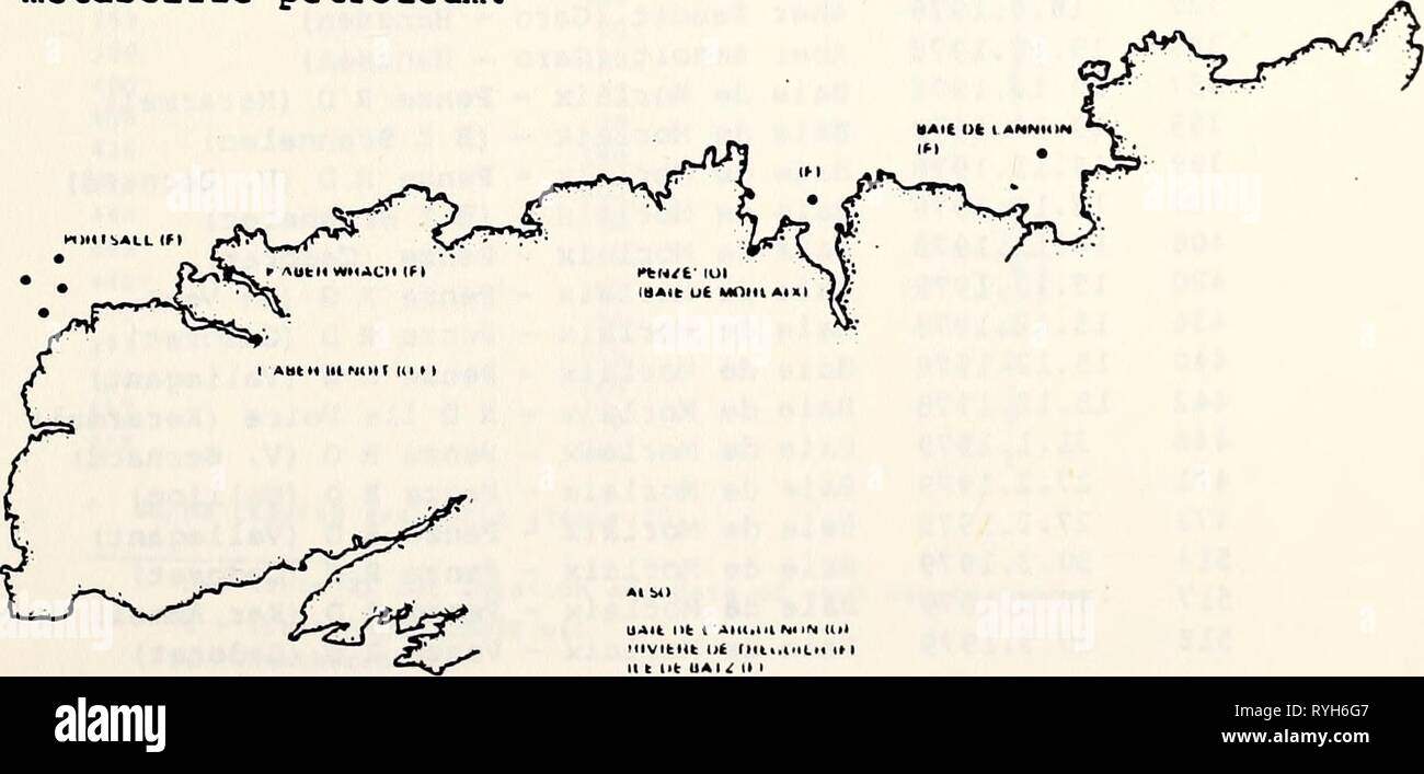 Étude écologique de la marée noire de l'Amoco Cadiz : rapport de la NOAA-Commission mixte scientifique CNEXO ecologicalstudy00noaa Année : 1982 3.6 Les huîtres et les poissons (Michel, l'ISTPM) Un programme d'analyse chimique à l'appui du début de l'après-fuite (Mars 1978 - mars 1979) programmes de l'Institut scientifique et technique des Pèches Maritimes (ISTPM) a été entreprise (tableaux 20 à 22 et Fig. 3.79). Des échantillons de poissons et d'huîtres (diverses espèces) ont été analysés par GC et plusieurs échantillons par GC/MS. Les résultats des analyses sont présentés dans les tableaux 23 à 25. En fonction de la nature de la trace du GC Banque D'Images