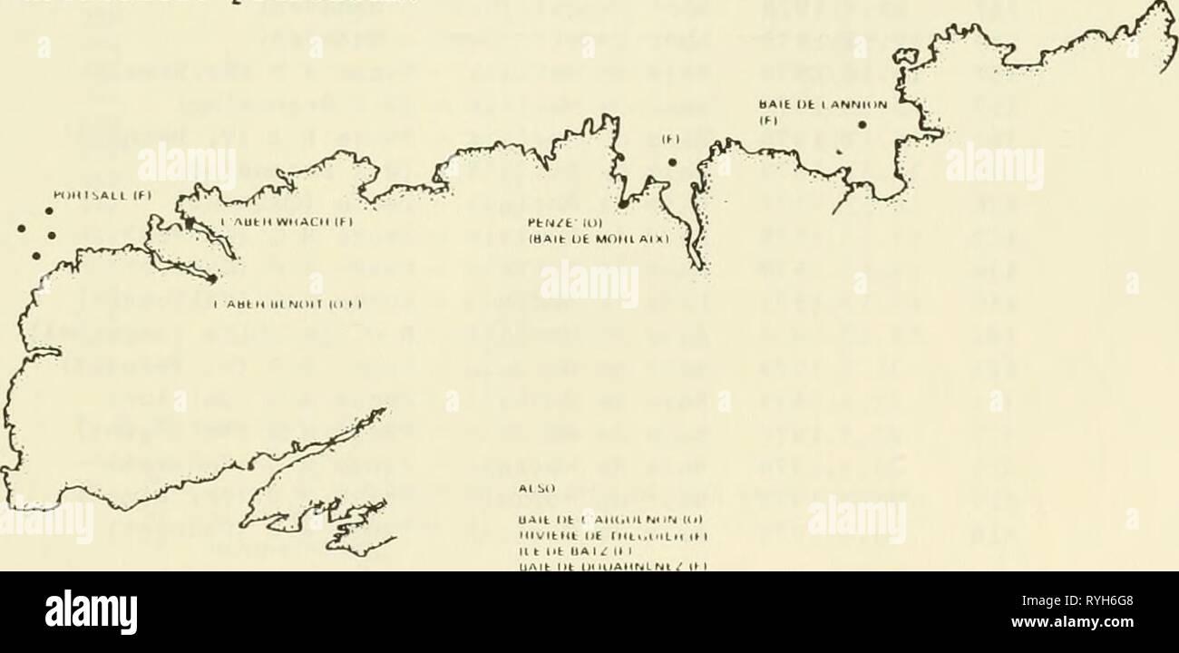 Étude écologique de la marée noire de l'Amoco Cadiz : rapport de la NOAA-Commission mixte scientifique CNEXO ecologicalstudyo00noaa Année : 1982 3.6 Les huîtres et les poissons (Michel, l'ISTPM) Un programme d'analyse chimique à l'appui du début de l'après-fuite (Mars 1978 - mars 1979) programmes de l'Institut scientifique et technique des peches Maritimes (ISTPM) a été entreprise (tableaux 20 à 22 et Fig. 3.79). Des échantillons de poissons et d'huîtres (diverses espèces) ont été analysés par GC et plusieurs échantillons par GC/MS. Les résultats des analyses sont présentés dans les tableaux 23 à 25. En fonction de la nature de la GC trac Banque D'Images