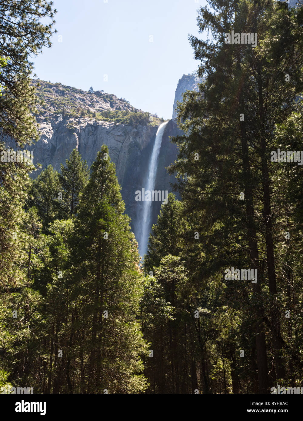 La Californie Yosemite Park Banque D'Images