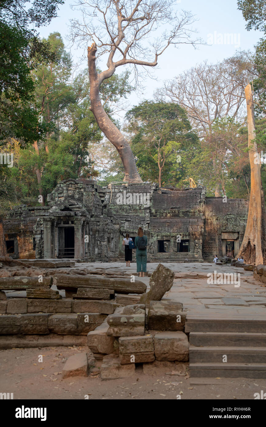 Angkor Wat, Siem Reap, Cambodge, le jeudi 14 mars 2019. Siem Reap , Cambodge météo : La période de temps sec chaud continue avec un maximum de 36 degrés et les bas de 26 degrés. Les touristes qui visitent les temples d'Angkor Wat en début de matinée pour éviter la chaleur extrême plus tard dans la journée. Angkor Wat est un temple complexe au Cambodge et l'un des plus grands monuments religieux dans le monde, sur un site de 162,6 hectares. Credit : WansfordPhoto/Alamy Live News Banque D'Images