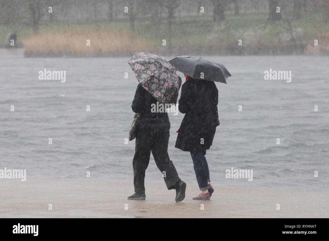 Londres, Royaume-Uni. 14Th Mar, 2019. Vent et pluie dans Hyde Park Crédit : JOHNNY ARMSTEAD/Alamy Live News Banque D'Images