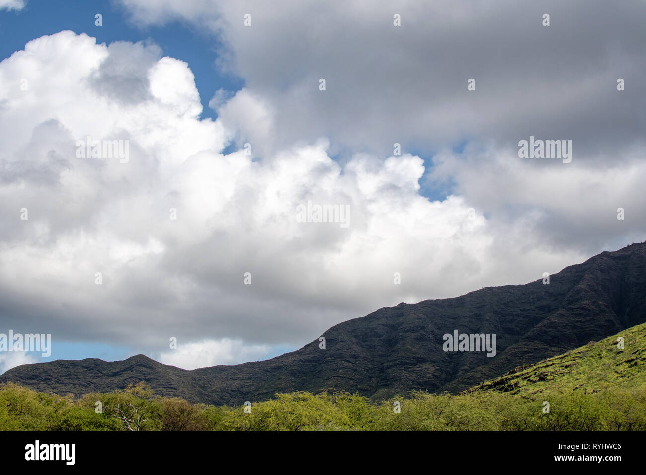 Hawaii Oahu Waianae Kai Forest Reserve montagnes et nuages Banque D'Images
