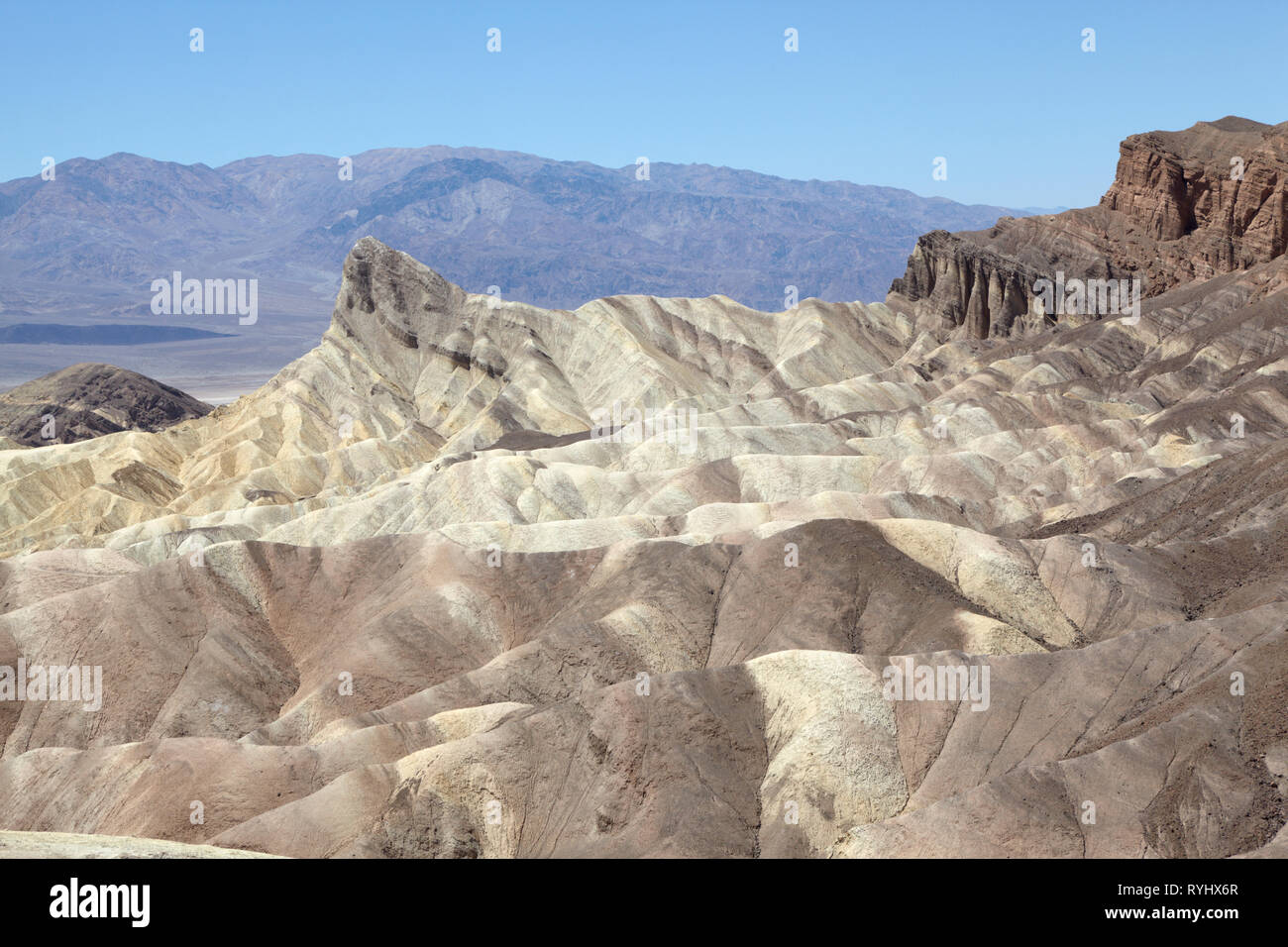 Zabriskie Point, Death Valley, Californie, USA. Banque D'Images