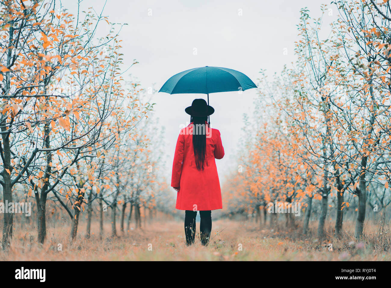 Femme en robe rouge et avec parapluie entre les arbres dans le jardin d'Apple à l'automne. Le minimalisme, voyages, nature concept. Banque D'Images