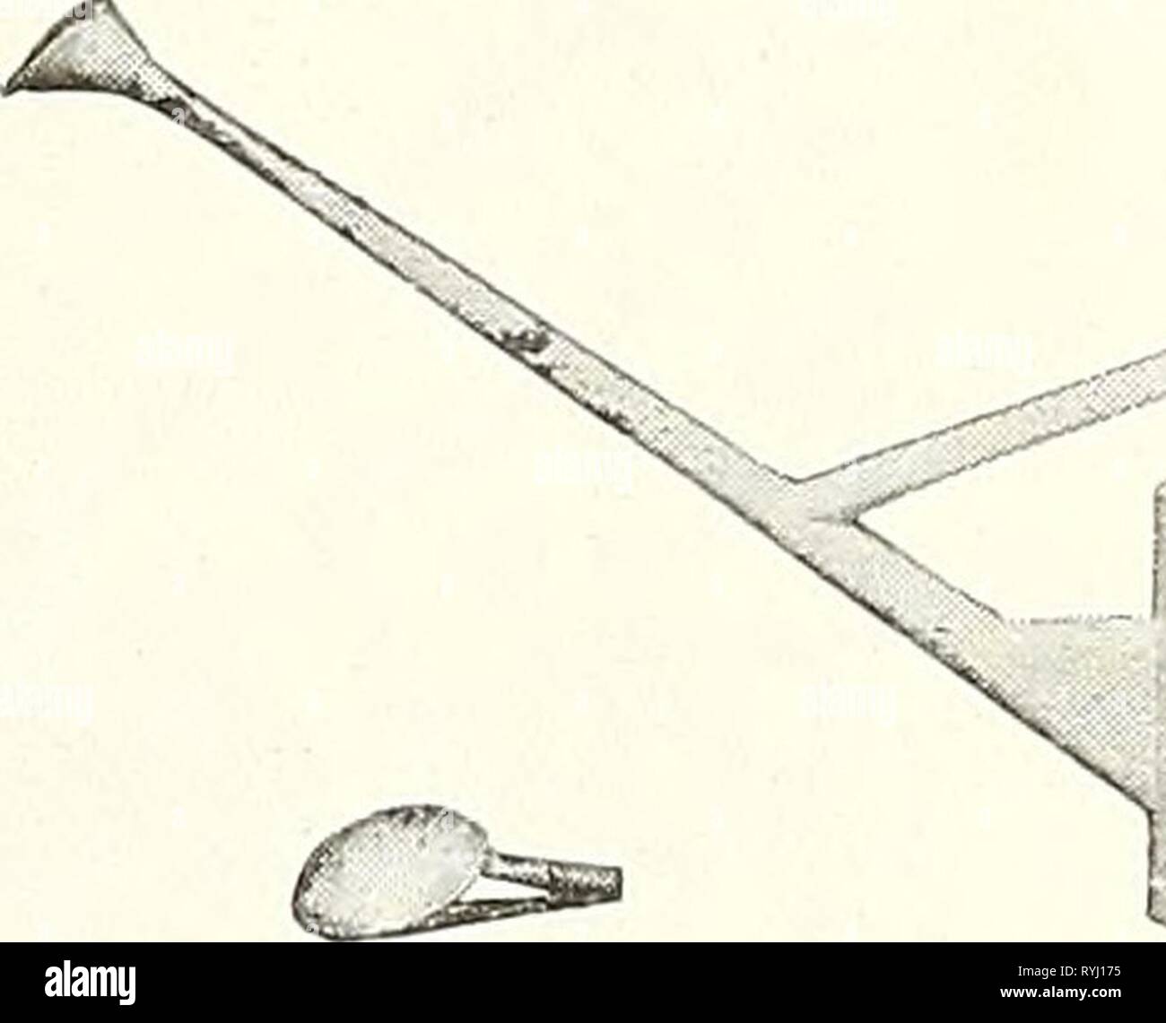 Dreer's Liste des prix de gros : des graines de fleurs et bulbes plantes semences de légumes divers pour les fleuristes, dreerswholesalep1930henr Année : 1930 Diam. in. 12 13 14 16 18 21 23 25 27 diam. En. 1011 V2 l2l^ 141/2 161/2 231/2 18 21 25 discontinue. 91/2 10 12 14 16 18 20 21V2 24:40 $ Chaque j 3 00 4 4S 6 60 6 25 7 15 8 85 0 90 11 15 No 8 No 7 No 6 No 5 No 4 No 3 No 2 No 1 No 0 Hea^T Arbre Plante à remous et bain à remous. seau spécial À l'intérieur de la longueur des lamelles de diamètre R in. 7 in. S HI. En 11. La ficelle. Le coton Le coton, blanc, 3 par lb et le jute, 2, 3 et 5 plis, par balle, 15 cts. ; par lb. . . Silkaline. Un fil vert Banque D'Images