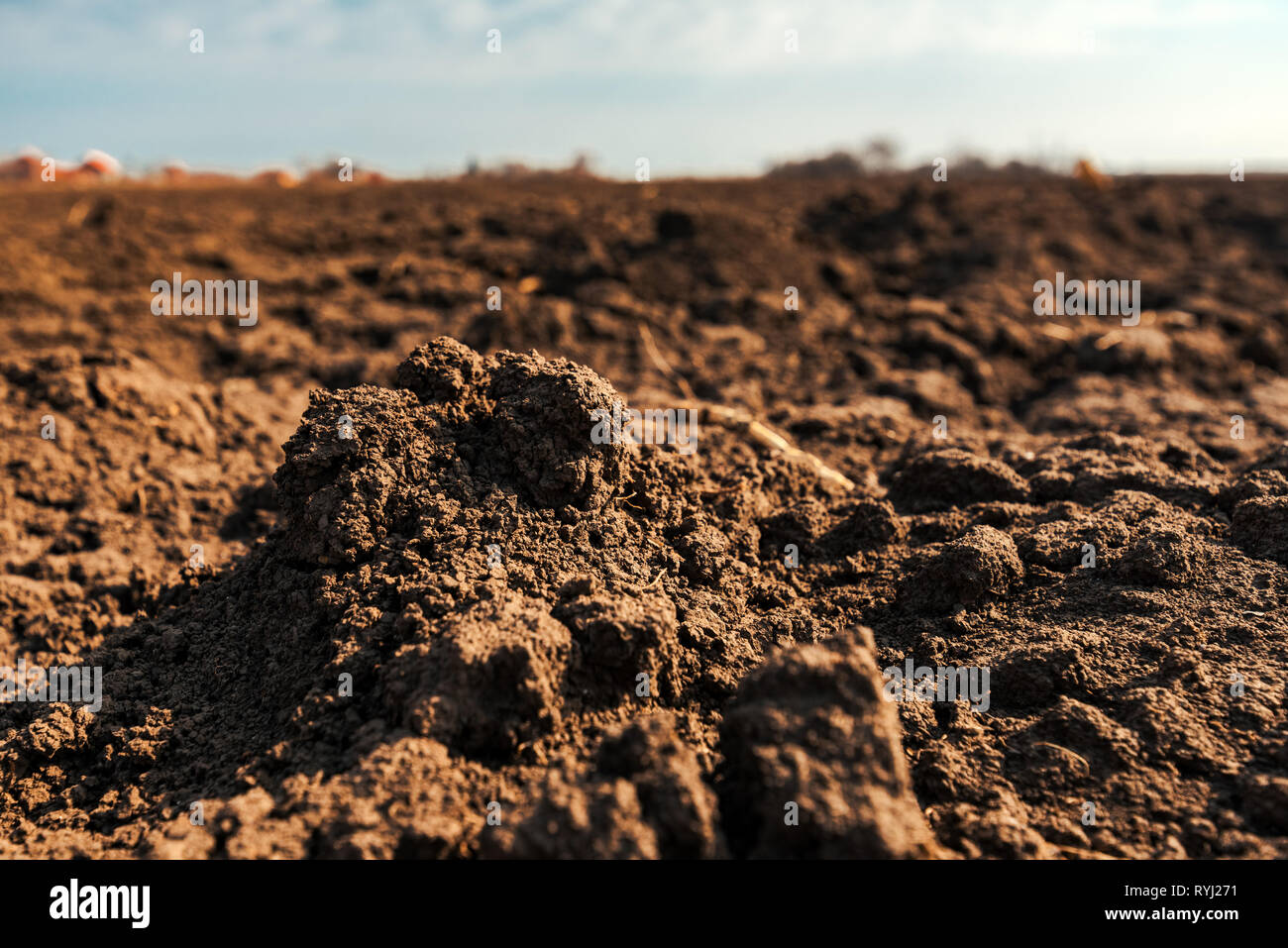 Terre labourée prêtes à semer des cultures agricoles saison au début du printemps Banque D'Images