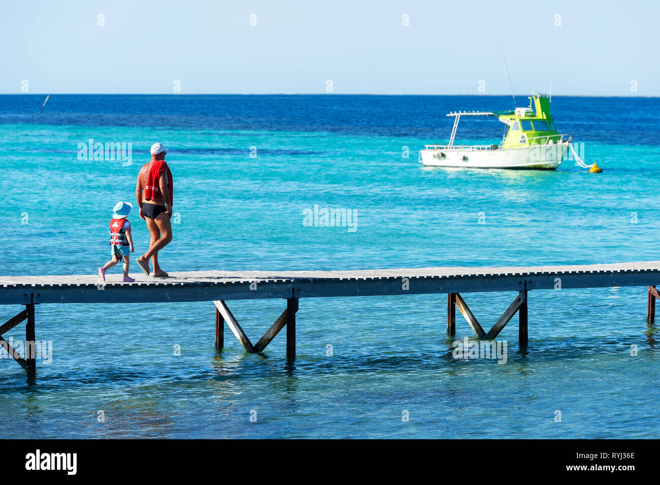 Grande île de Rat, Houtman Abrolhos. Les Houtman Abrolhos îles se trouvent à 60 kilomètres au large de la côte de Geraldton en Australie occidentale. Il y a 122 pristi Banque D'Images