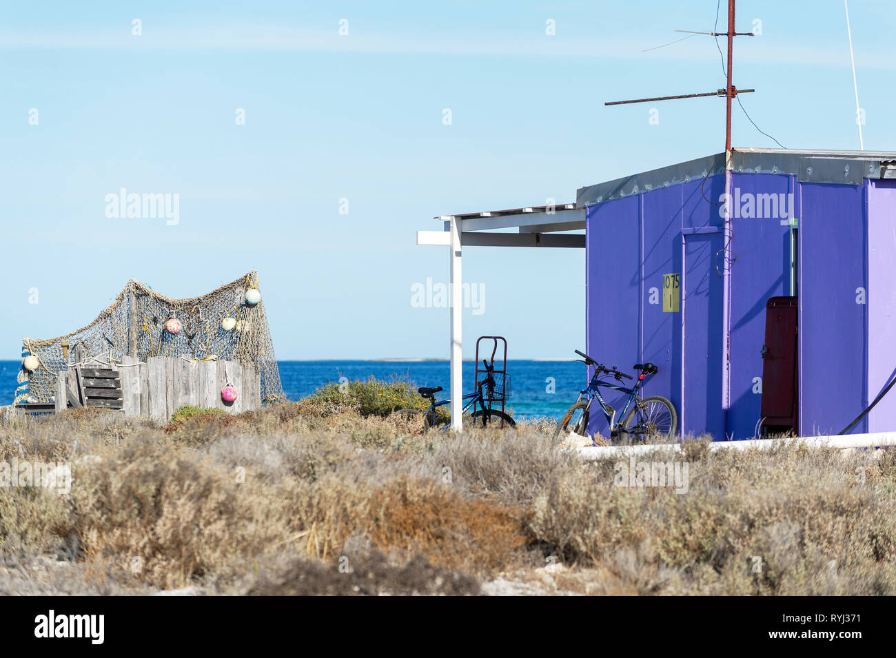 Grande île de Rat, Houtman Abrolhos. Les Houtman Abrolhos îles se trouvent à 60 kilomètres au large de la côte de Geraldton en Australie occidentale. Il y a 122 pristi Banque D'Images