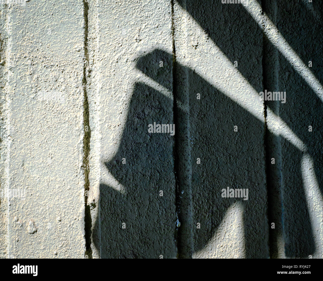 Close-up du mur de ciment avec des ombres de feuilles en surface. Banque D'Images