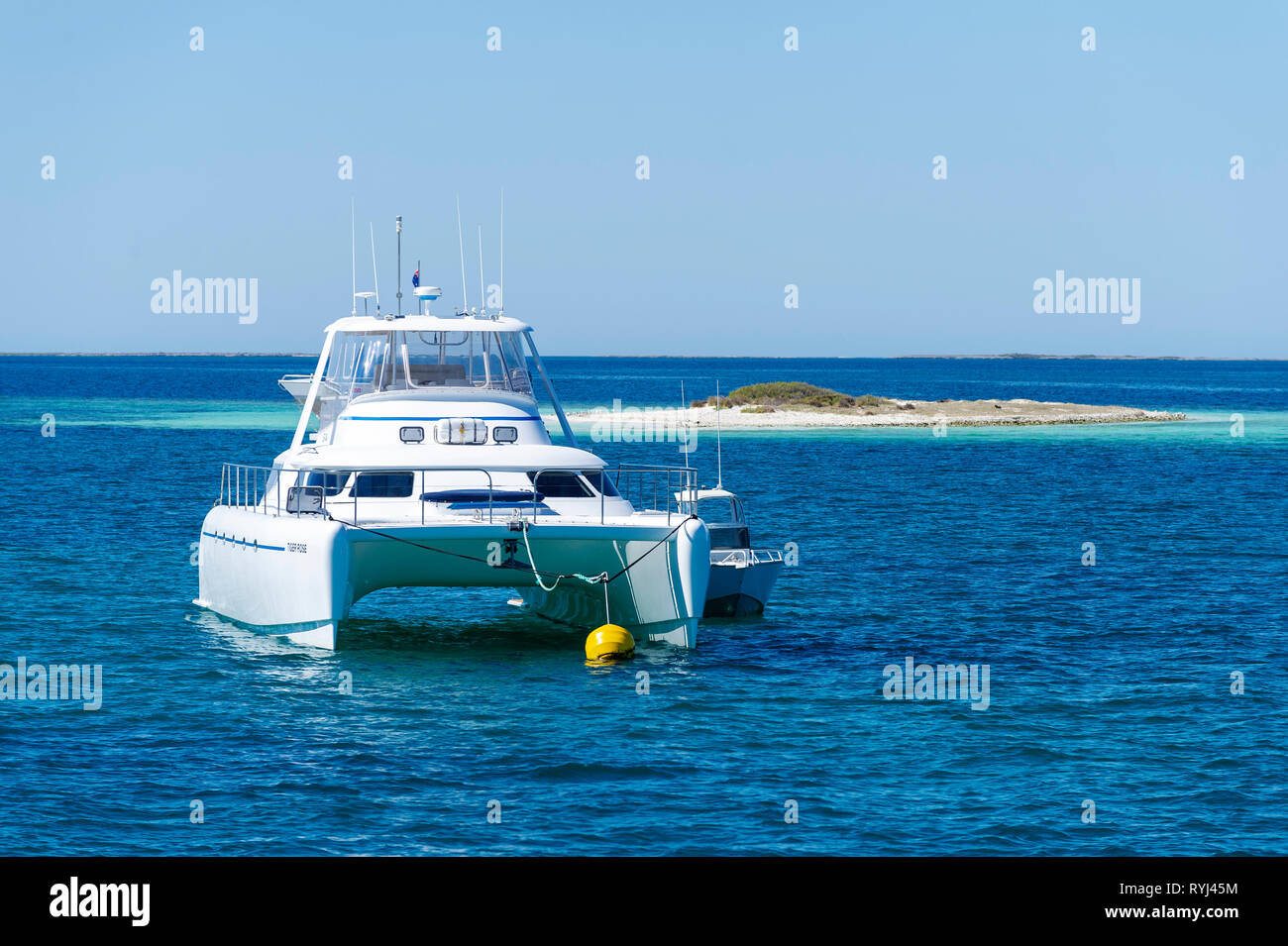 White Banque (également appelé l'île Seal) est le foyer d'une famille de lions de mer australiens dans le groupe de Pâques le Houtman Abrolhos. Les Houtman Abrolhos isl Banque D'Images