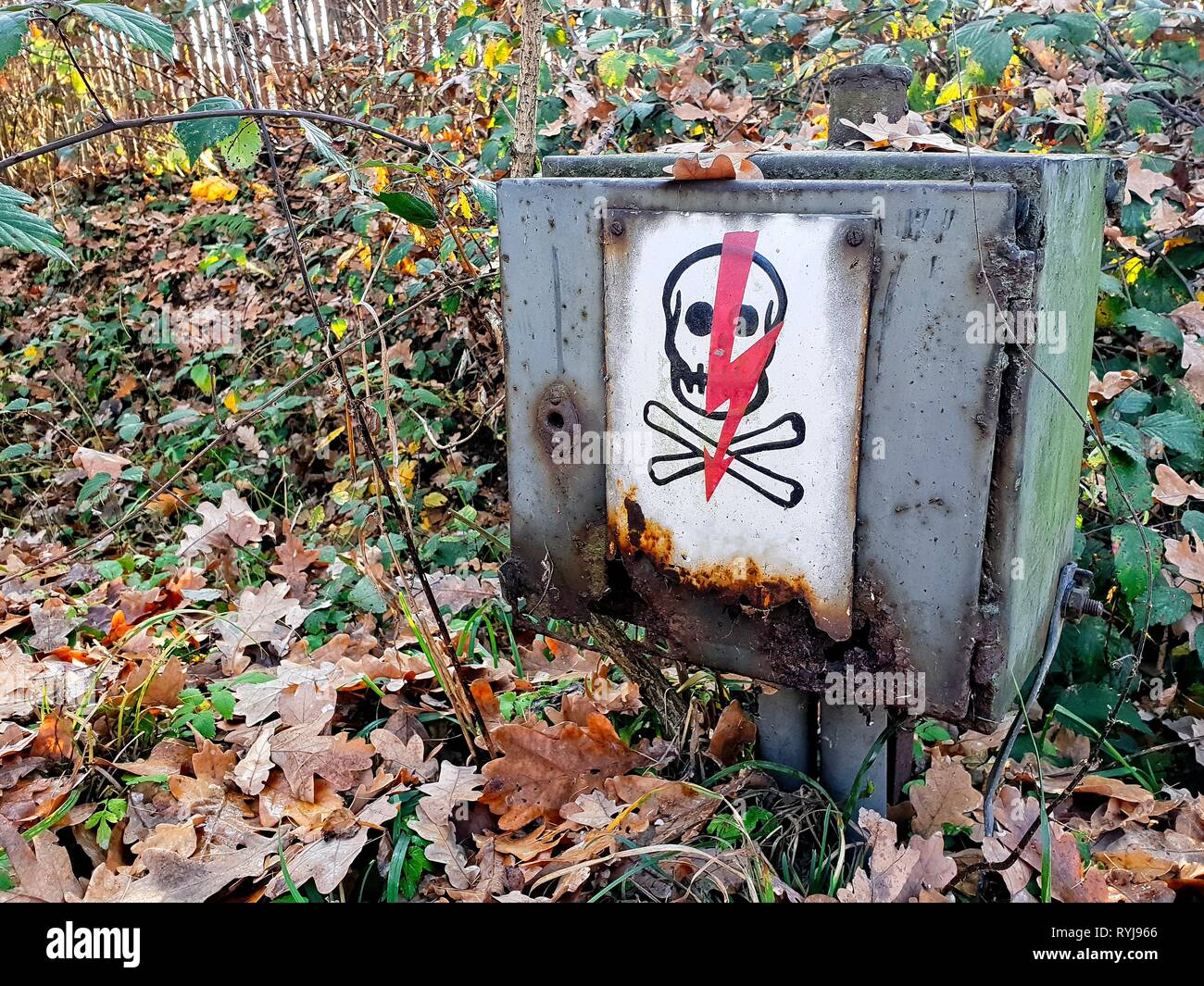 Ancienne piscine boîtier électrique avec une haute tension signer dans les feuilles - pas d'inscription Banque D'Images