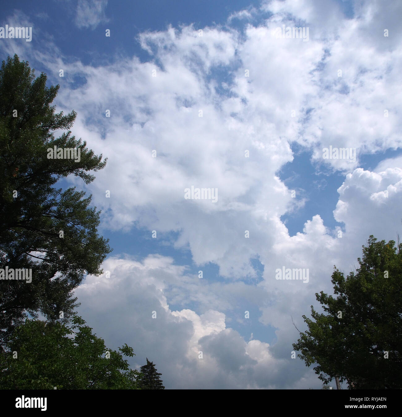 Les phénomènes naturels. Les nuages de pluie et tonnerre. L'Ukraine. Banque D'Images