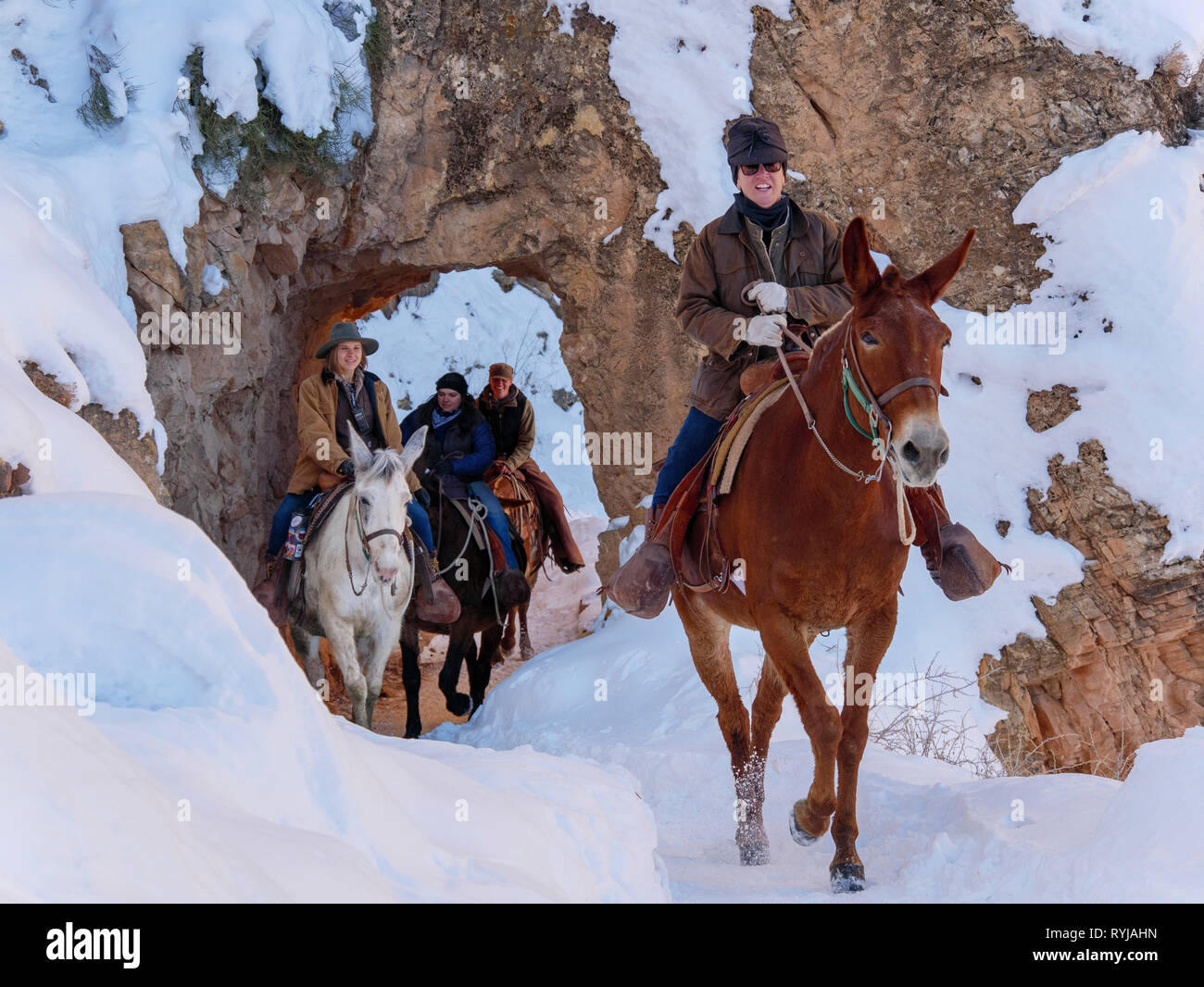 Les mules et mainteneurs de passer par l'un des tunnels de passage sur le Bright Angel Trail. Le Parc National du Grand Canyon, Arizona. Banque D'Images