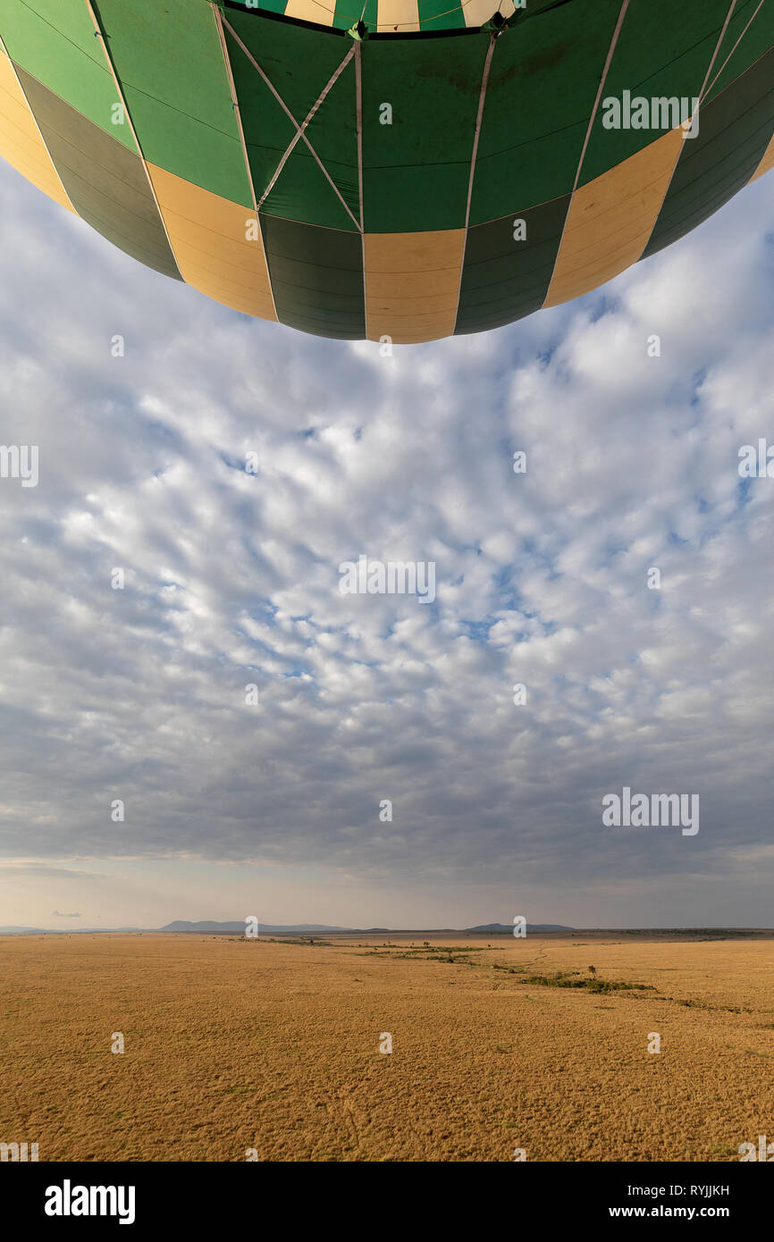 Vol en ballon au-dessus de la Masai Mara, Kenya, Afrique du Sud Banque D'Images