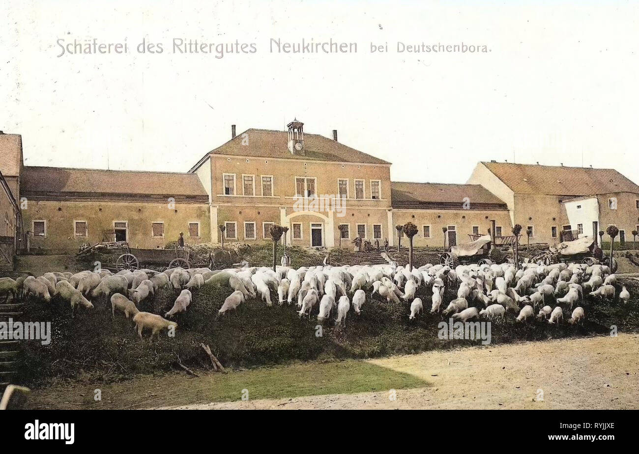 Neukirchen (Reinsberg), de l'Agriculture dans le Landkreis de Meissen, en Saxe, Rittergüter Leiterwagen, moteurs de traction, des moutons, des bergers en Allemagne En Allemagne, l'élevage des moutons en Allemagne, 1899, Landkreis Meißen, Neukirchen, des Rittergutes Schäferei Banque D'Images