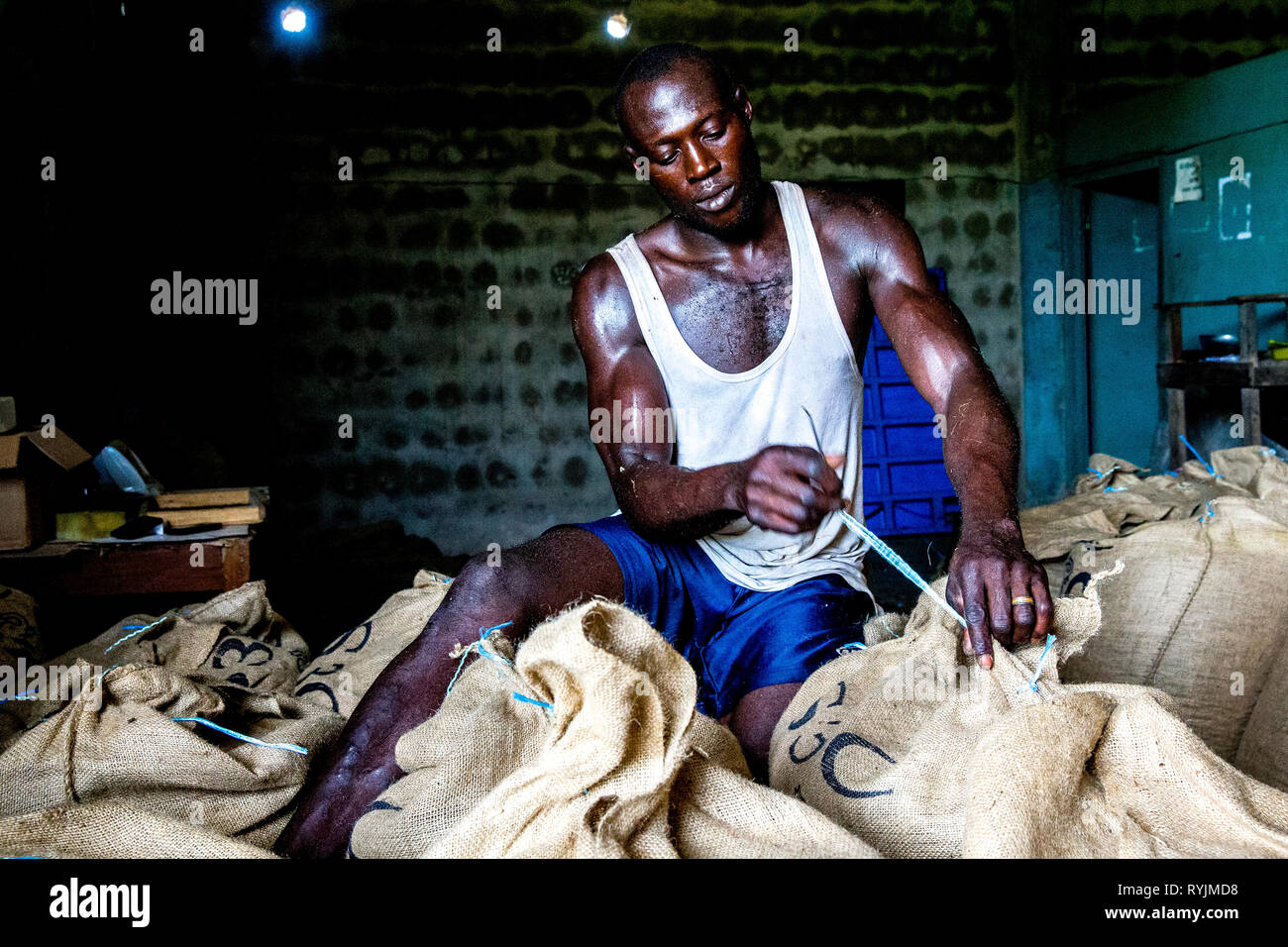 Fève de cacao emballage dans Abidjan, Côte d'Ivoire. Banque D'Images