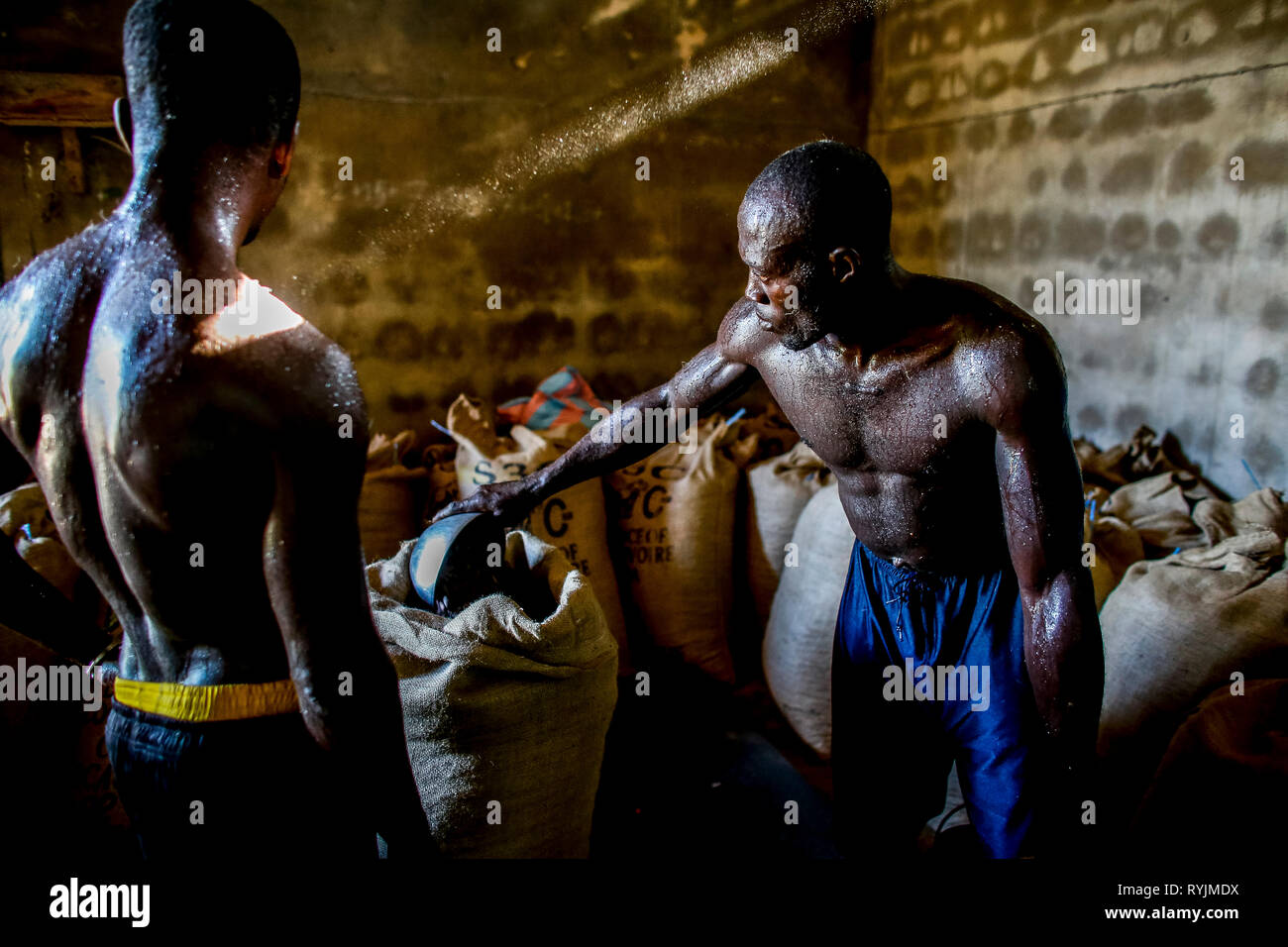 Les travailleurs de cacao un sac de pesée dans Abidjan, Côte d'Ivoire. Banque D'Images