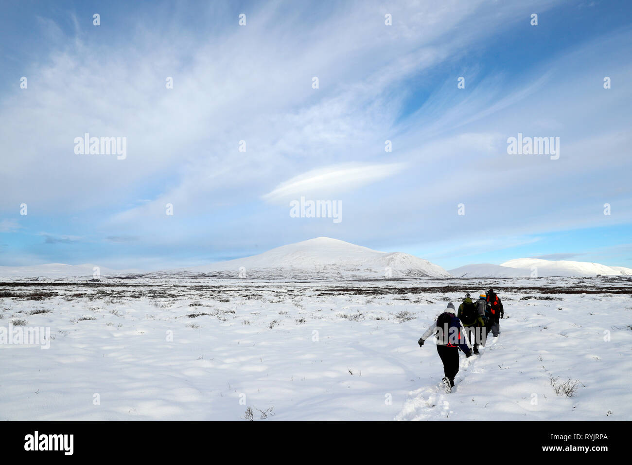 DovrefjellÐSunndalsfjella Parc National. La randonnée. Sentiers d'hiver. La Norvège. Banque D'Images