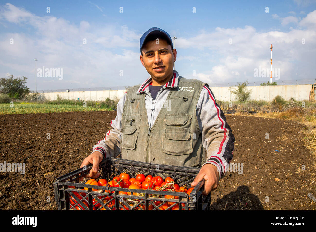 Ferme appartenant à la famille d'aujourd'Taneep Fayez à Tulkarem, en Cisjordanie, en Palestine, qui ont reçu un prêt d'ACAD Finances en 2012. La taille de l'exploitation a été réduire Banque D'Images
