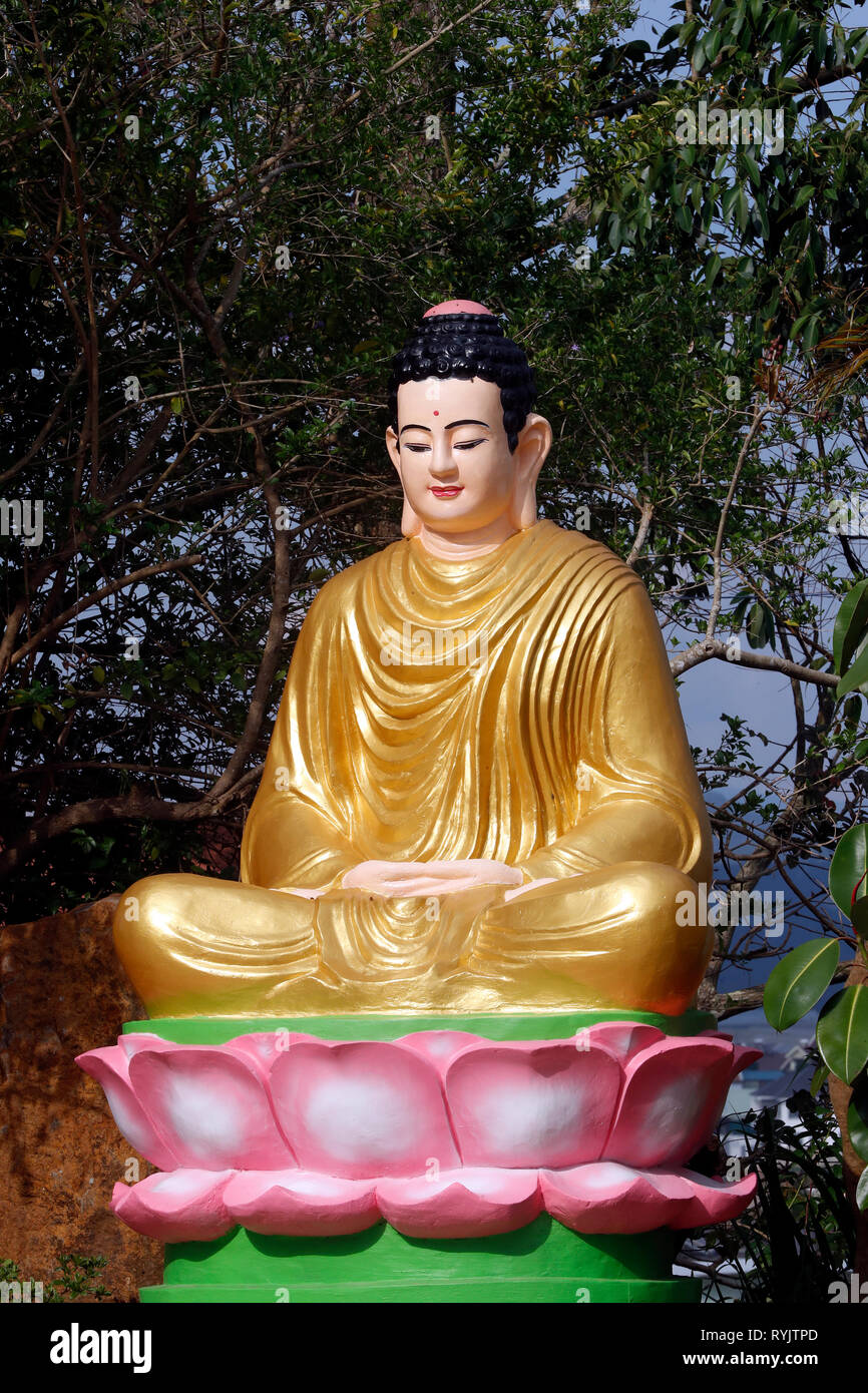 Van Hanh monastère bouddhiste zen. Shakyamuni Bouddha assis dans la méditation poser sous l'arbre de la Bodhi. Dalat. Le Vietnam. Banque D'Images