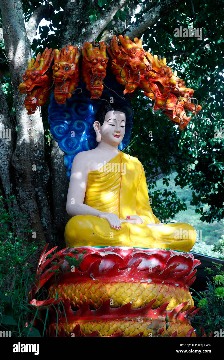 Tinh Quang pagoda. L'illumination du Bouddha. Dalat. Le Vietnam. Banque D'Images