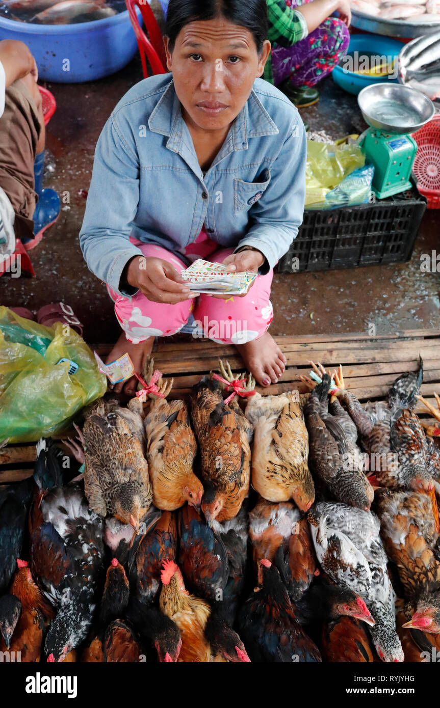 Poulet pour la vente. Marché traditionnel. Ha Tien. Le Vietnam. Banque D'Images