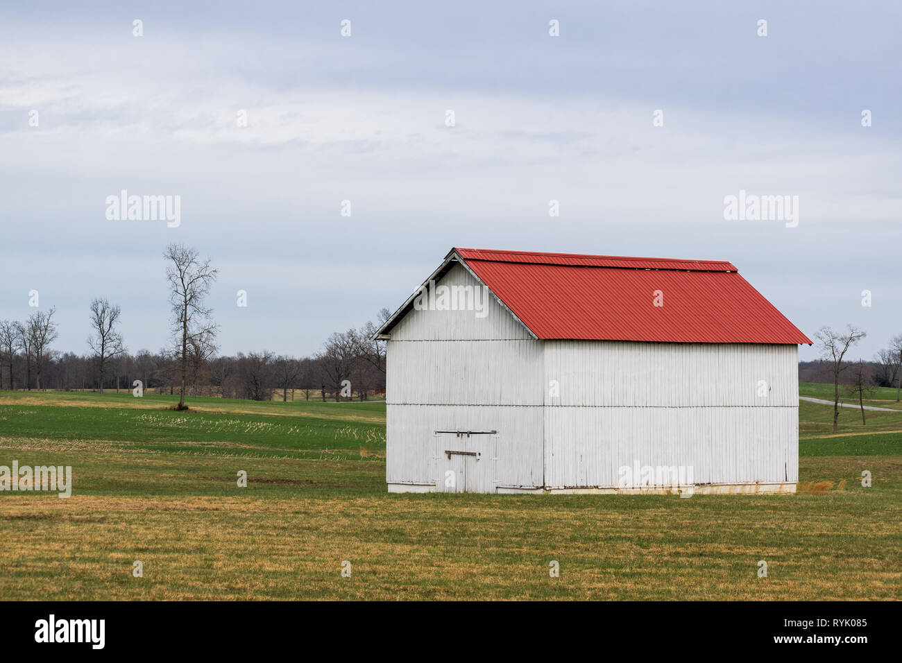 Grange Blanche au toit rouge sur l'image au début de printemps, la ferme du Tennessee campagne avec de l'herbe vert vif et de plus en plus du bout des lèvres. Banque D'Images