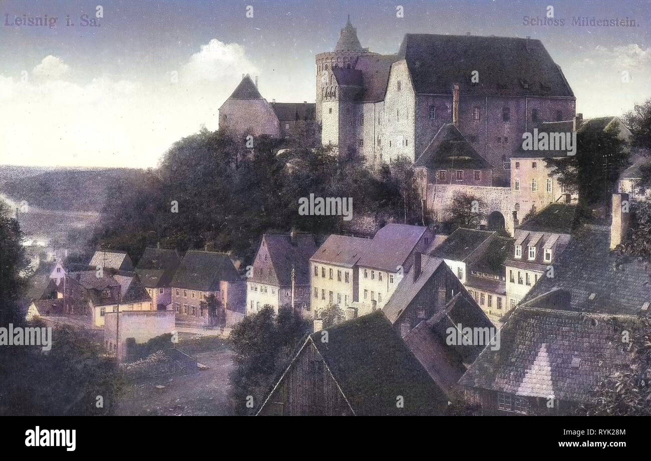 Burg Mildenstein, bâtiments à Leisnig, 1914, Landkreis Mittelsachsen, Leisnig, Schloß Mildenstein, Allemagne Banque D'Images