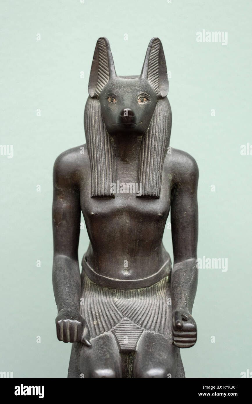 Copenhague. Le Danemark. Statue de la tête de chacal égyptien -dieu Anubis, 664-525 BC (probablement 26e dynastie). Ny Carlsberg Glyptotek. Findspot inconnu. Banque D'Images