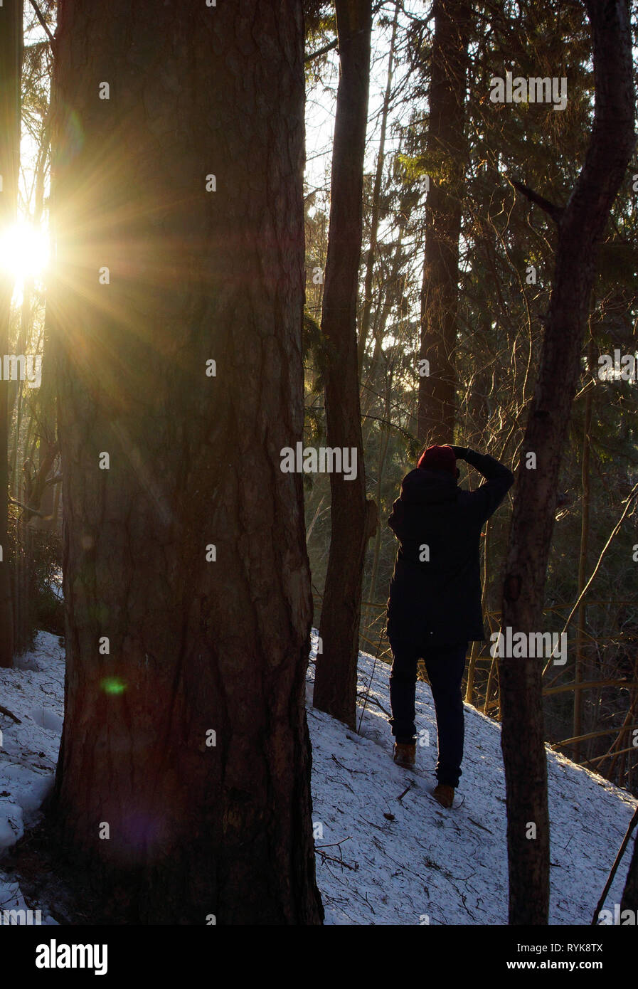 Le photographe se trouve dans la distance et tire le paysage, le soleil illumine sa silhouette et regarde de derrière un arbre Banque D'Images