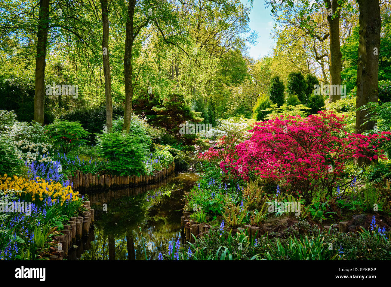 Jardin de fleurs Keukenhof. Lisse, aux Pays-Bas. Banque D'Images