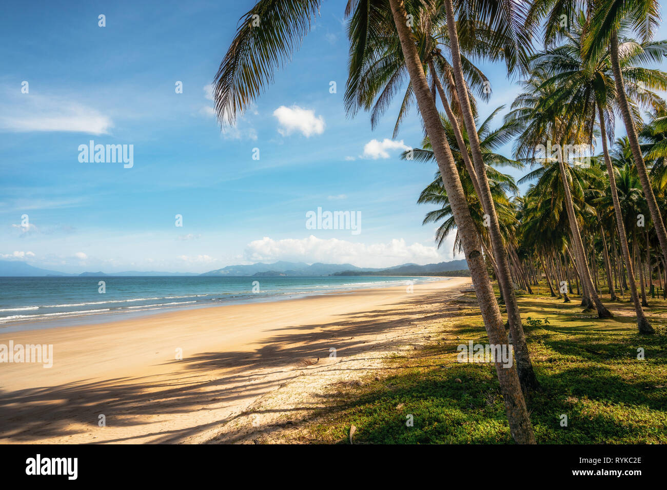 Longue plage isolée à San Vincente de palmiers, Palawan, Philippines Banque D'Images