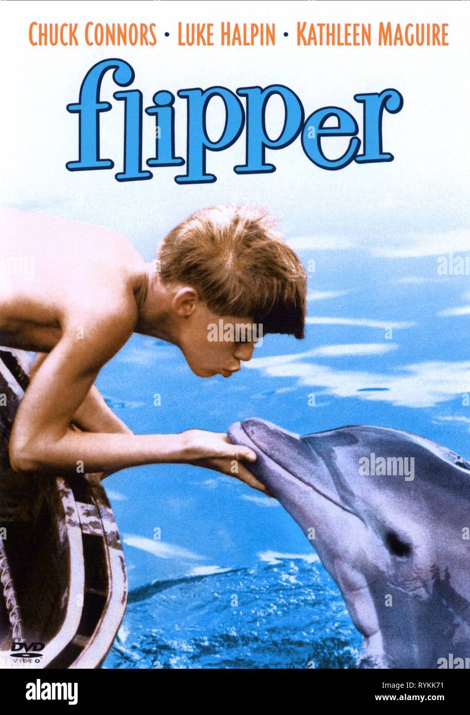 Flipper dolphin film Banque de photographies et d'images à haute résolution  - Alamy