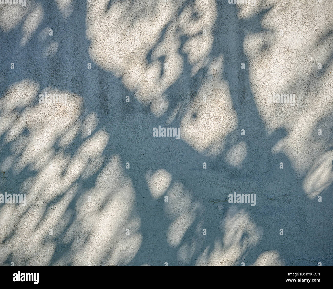 Close-up du mur de ciment avec l'ombre d'un arbre sur sa surface. Banque D'Images