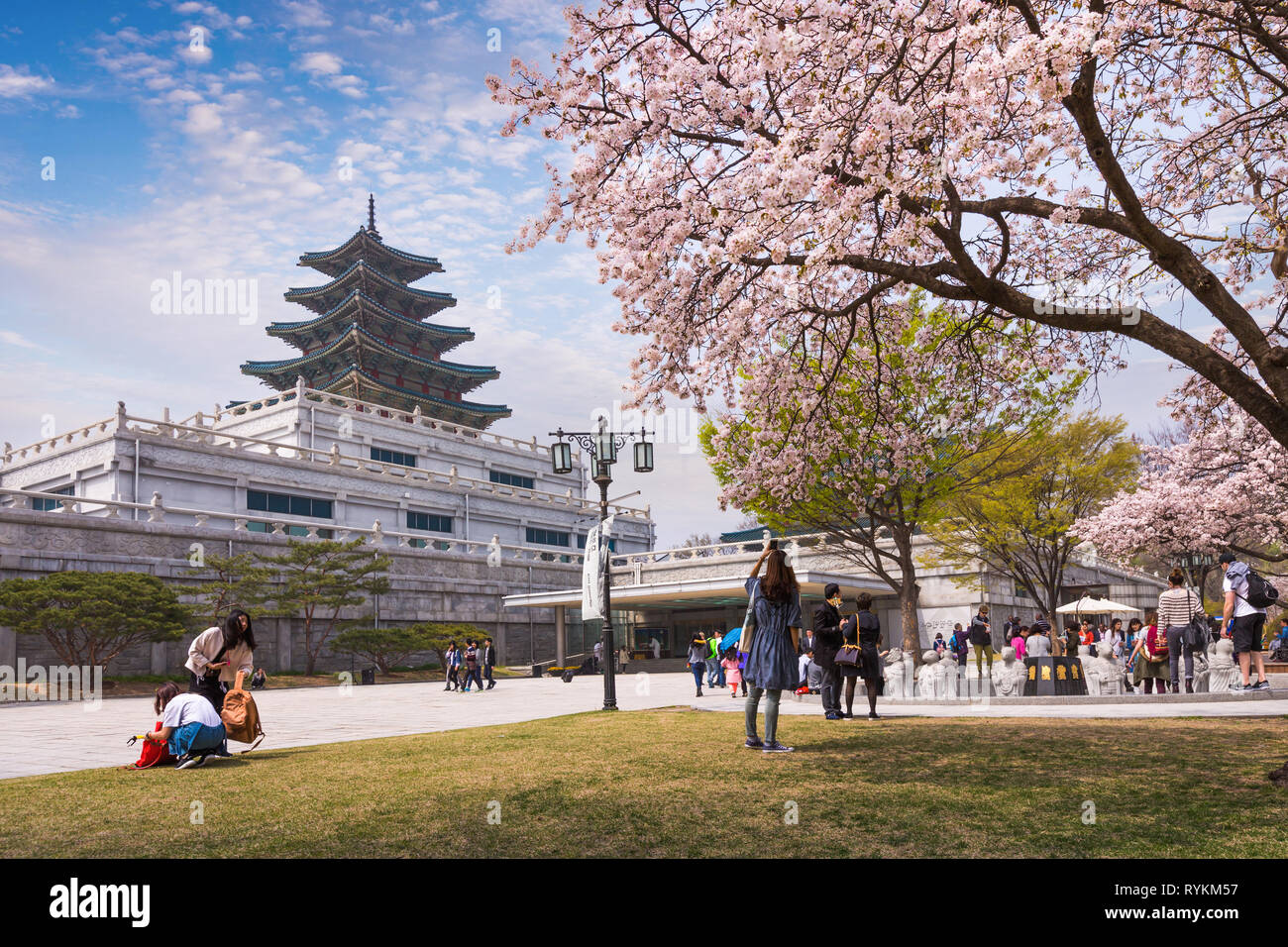 Séoul - 10 avril 2016 : Gyeongbokgung Palace au printemps Billet de Corée, le 10 avril 2016 à Séoul, Corée du Sud. Banque D'Images