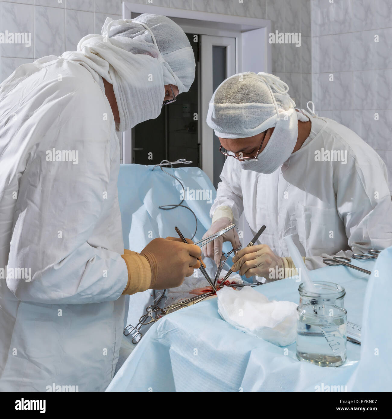 La chirurgie, l'enlèvement d'une hernie. Banque D'Images