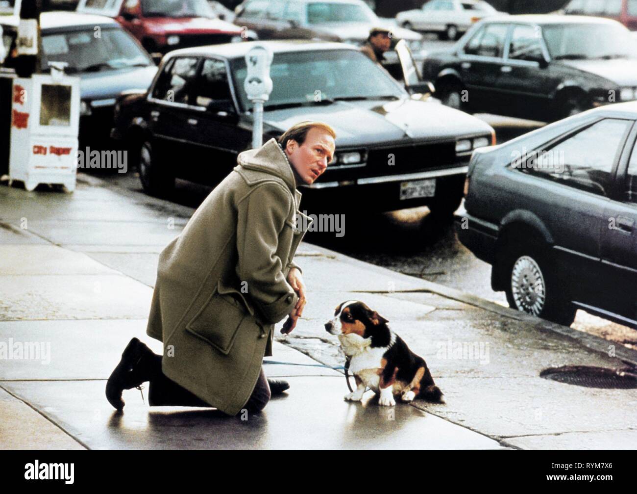 Blessé,chien, l'accidentel, 1988 Banque D'Images