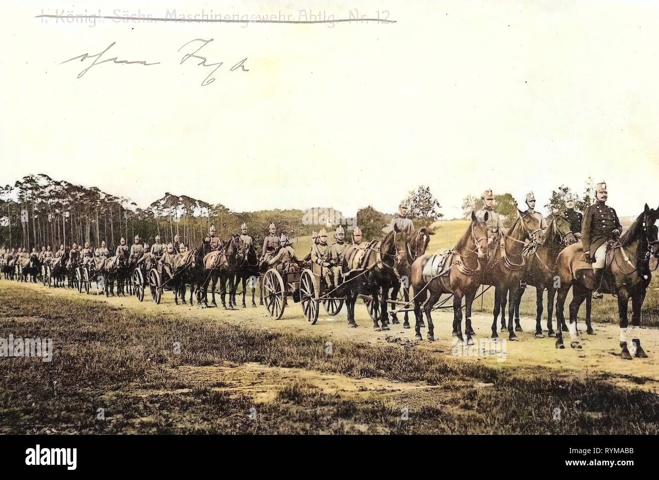 La mitrailleuse Maxim, l'utilisation militaire des chevaux, 1. Königlich Sächsische Maschinengewehr-Abteilung Nr. 12, 1905 cartes postales, 1905, 1. Königlich Sächsische Maschinengewehr Abteilung 12, Nr. Banque D'Images