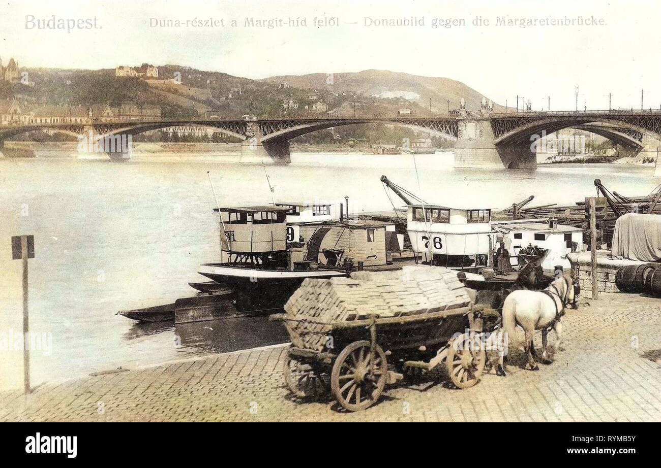 Le pont avant la reconstruction en 2009, les chevaux de la Hongrie, numéro 76 sur les motomarines, Leiterwagen, navires à Budapest, 1905, Budapest, Donaubild Pferdewagen Marienbrücke und mit Banque D'Images