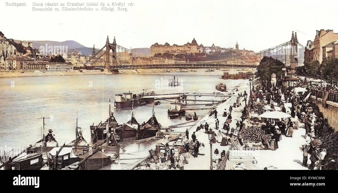 Navires dans Budapest, texte allemand, jetées en Hongrie, images historiques du pont Elisabeth, Budapest, 1906, Donaubild Elisabethbrücke mit und Königliche Burg Banque D'Images