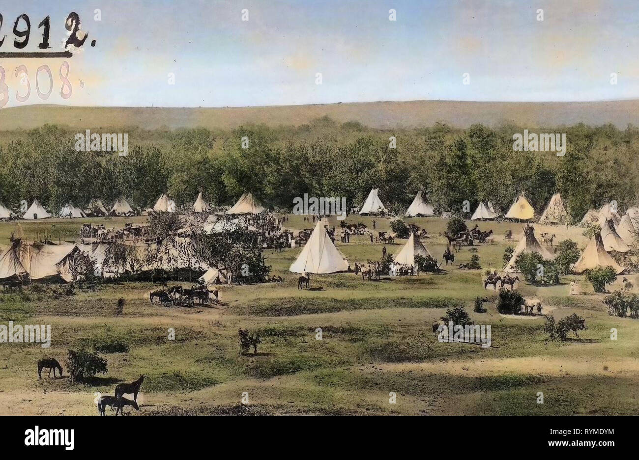 Célébration du 4 juillet, 1906, les Amérindiens de l'Oregon, les chevaux de l'Oregon, tipis, Pendleton, Oregon, jour de l'indépendance (États-Unis), en Orégon, camp indien le 4 juillet Banque D'Images
